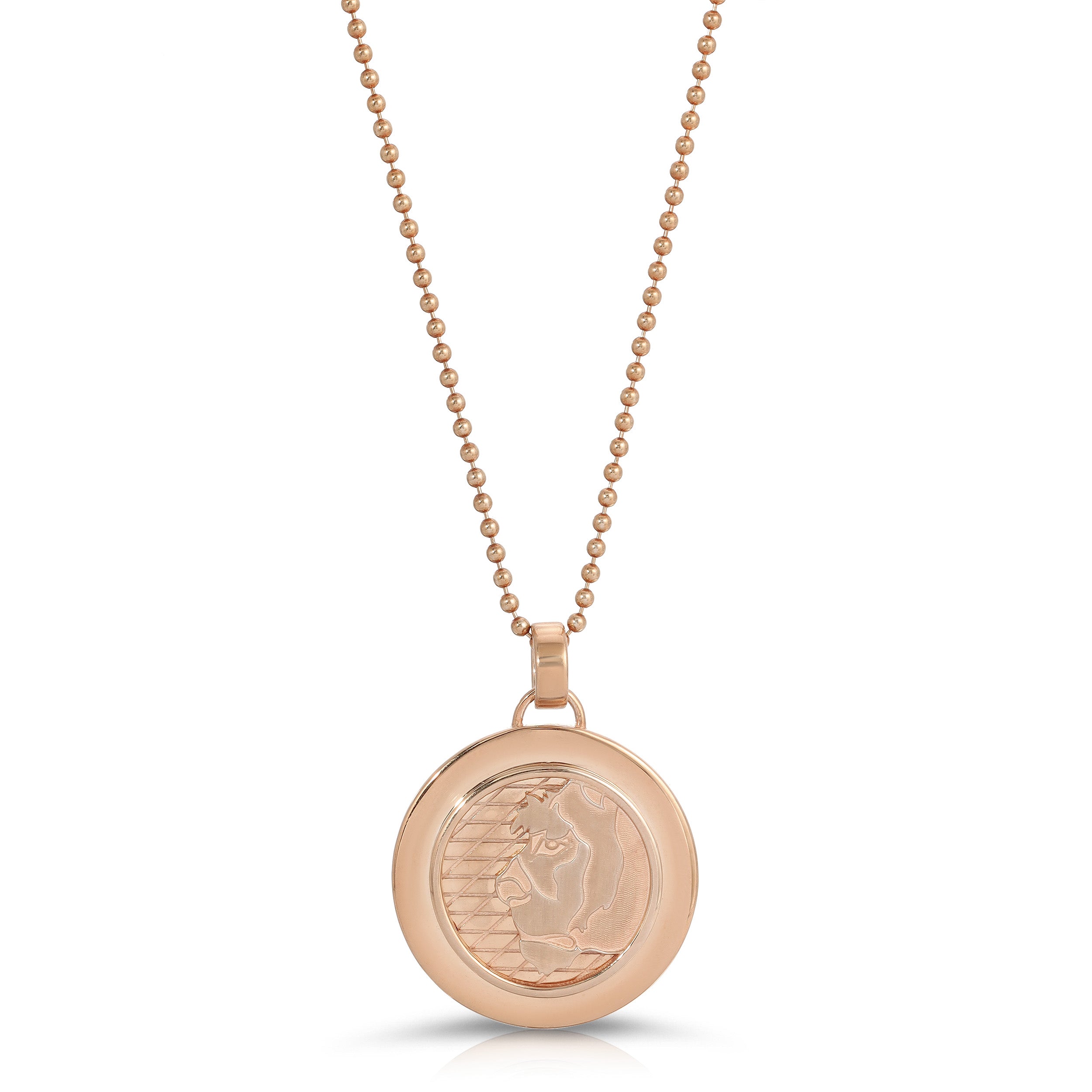 Large Lioness Coin Necklace, Gold