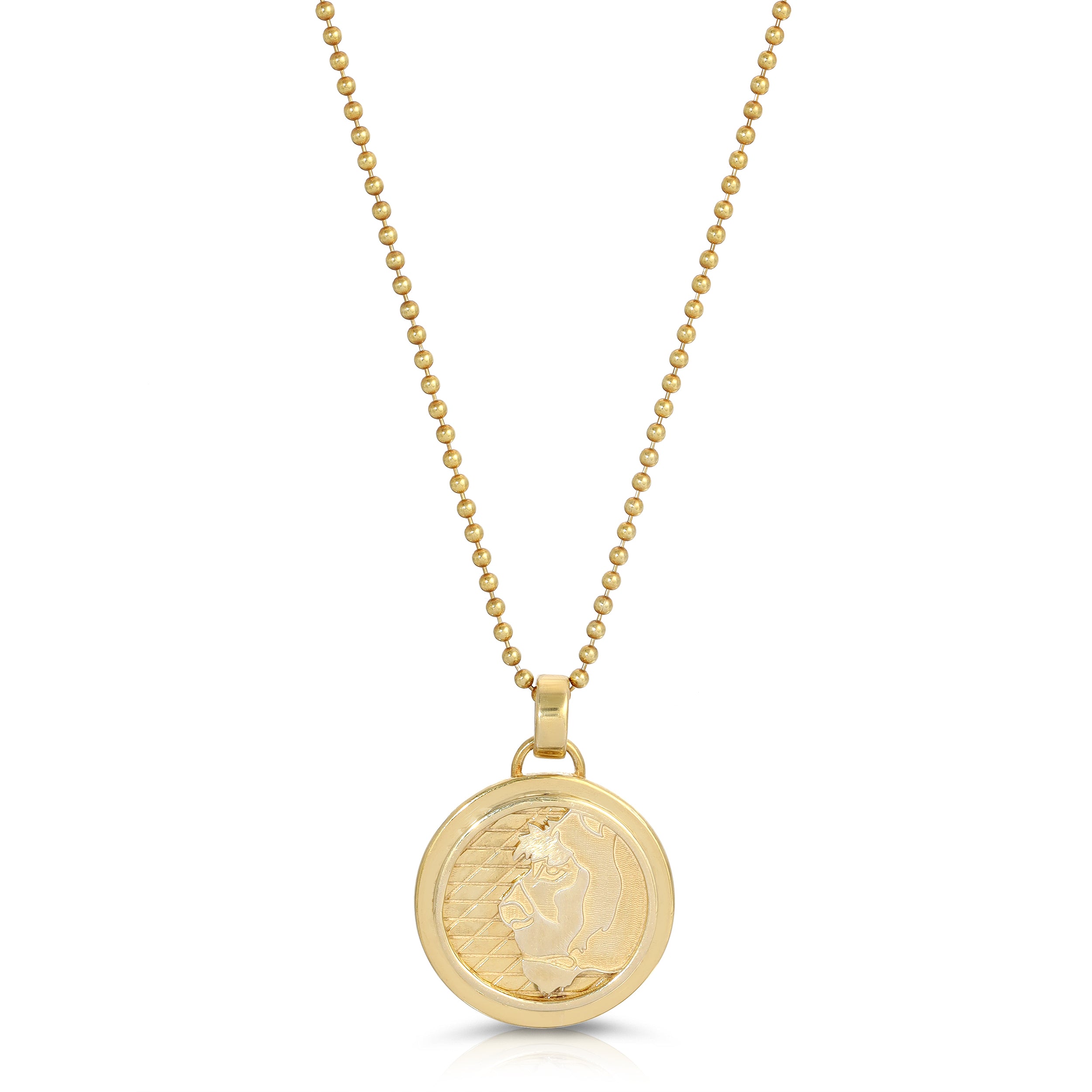 Medium Lioness Coin Necklace, Sterling Silver